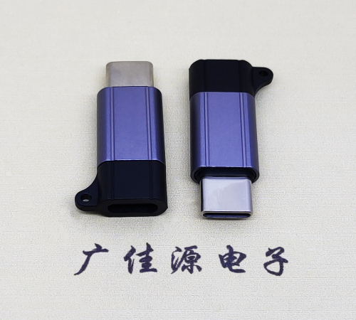 河南Type-C母转Type-C公 USB3.1 PD100W快冲接口